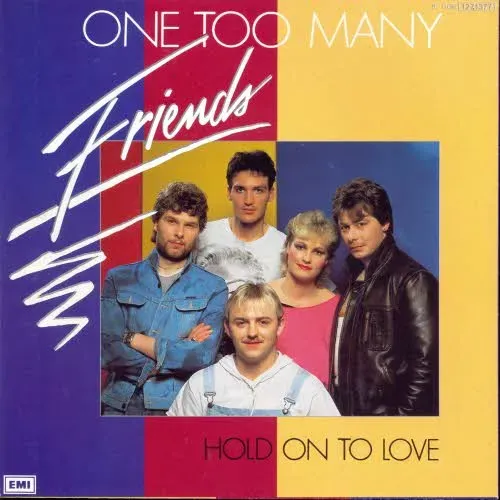 Friends - One too many (nur Cover)