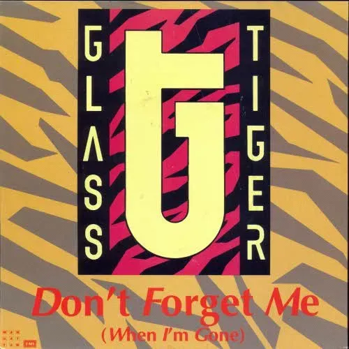 Glass Tiger - Don't forget me (When I'm gone) (nur Cover)