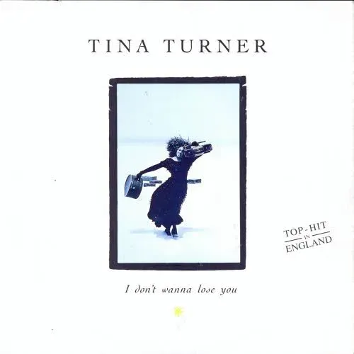 Turner Tina - I don't wanna lose you (nur Cover)