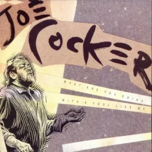 Cocker Joe - What are you doing with..... (nur Cover)