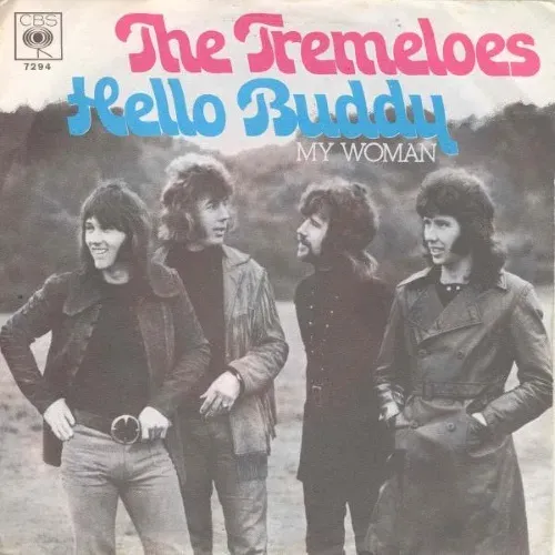 Tremeloes - Hello Buddy (nur Cover)