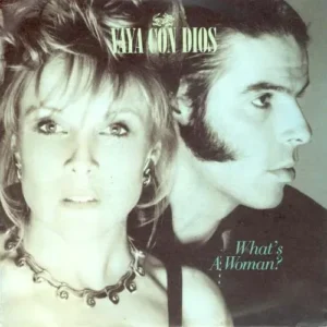 Vaya Con Dios - What's a woman (nur Cover)