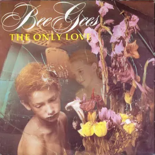 Bee Gees - The Only Love
