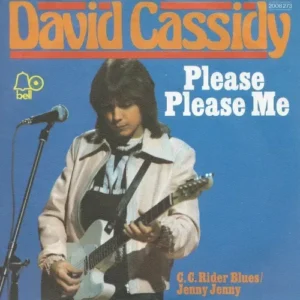 Cassidy David - Please please me