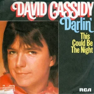 Cassidy David - Darlin' (nur Cover)