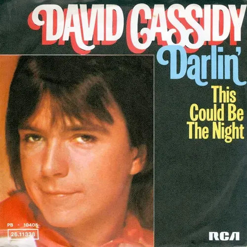 Cassidy David - Darlin' (nur Cover)