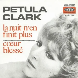 Clark Petula - La nuit n'en finit plus (nur Cover - FR)