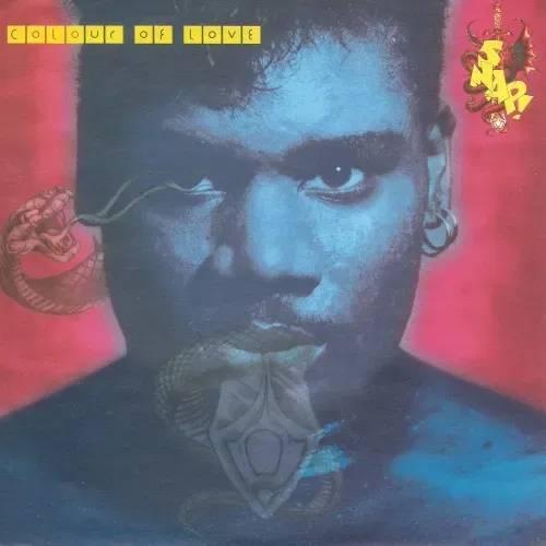 Snap - Colour of love