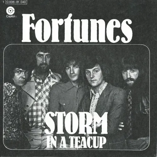 Fortunes - Storm in a teacup (nur Cover)
