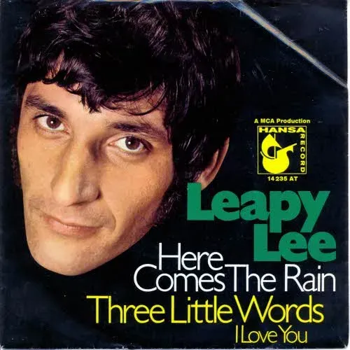 Lee Leapy - Here comes the rain (nur Cover)