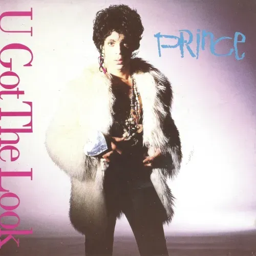 Prince & Revolution - U got the look (nur Cover)