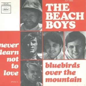 Beach Boys - Bluebirds over the mountain (nur Cover -FR)