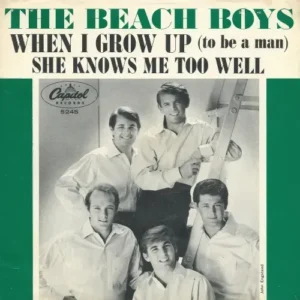Beach Boys - When I grow up  (nur Cover-US)