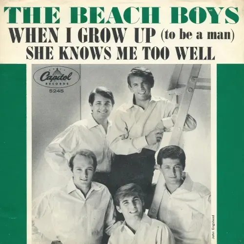 Beach Boys - When I grow up (nur Cover-US)