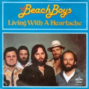 Beach Boys - Living with a heartache (nur Cover)
