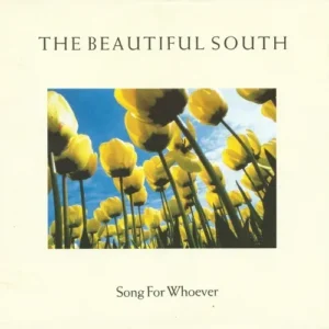 Beautiful South - Song for whoever (nur Cover)