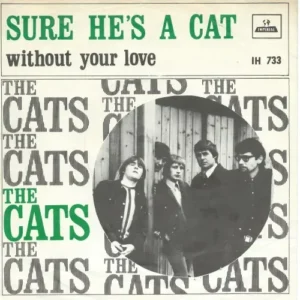 Cats - Sure he's a cat (nur Cover)