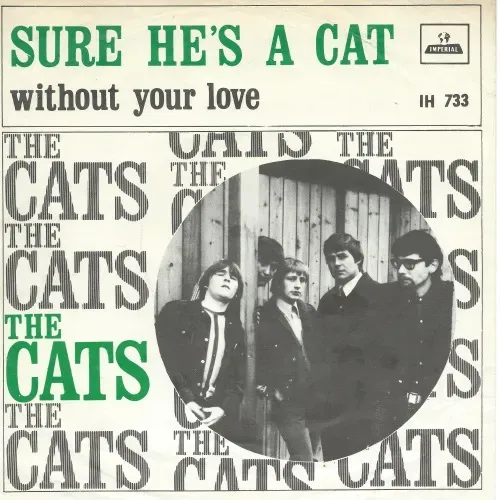 Cats - Sure he's a cat (nur Cover)