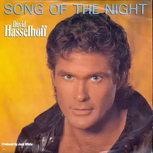 Hasselhoff David - Song of the night (nur Cover)