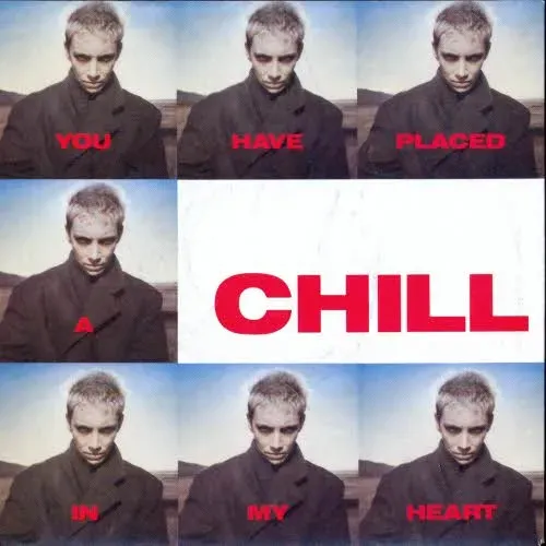 Eurythmics - You have placed a chill in my heart (nur Cover)