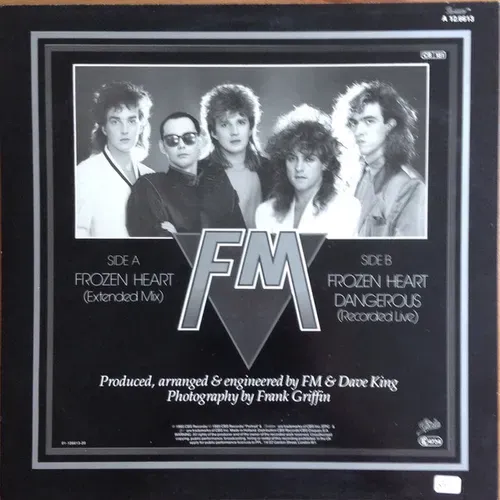 FM - Frozen heart (Maxi-Single) – Bild 2