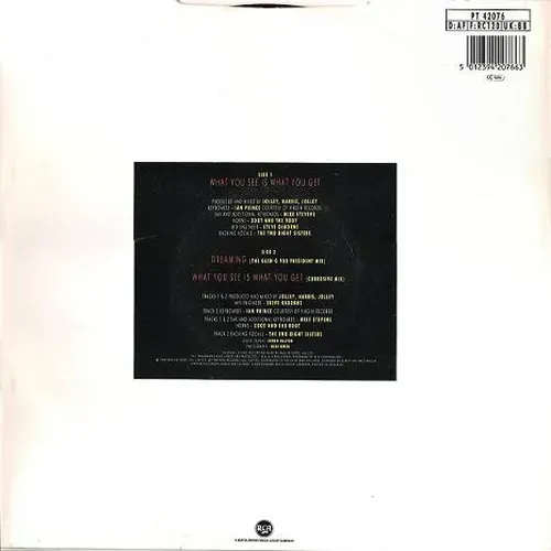 Glen Goldsmith - What you see is what you get (Maxi-Single) – Bild 2