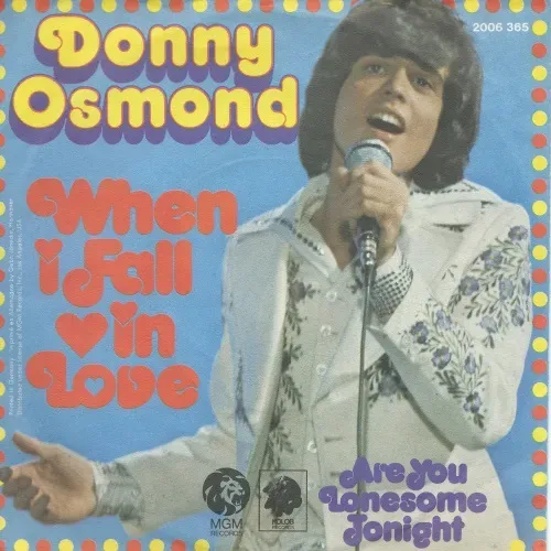 Osmond Donny - When I fall in Love (nur Cover)