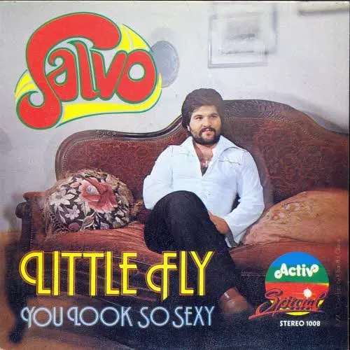 Salvo - Little fly (nur Cover)