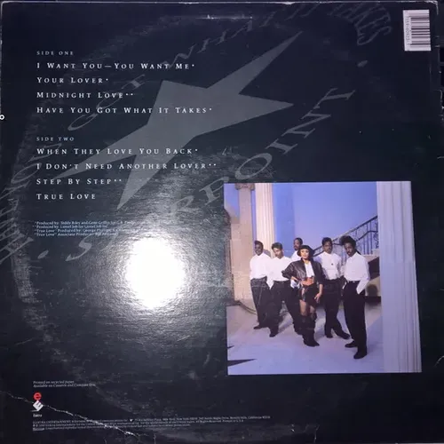 Starpoint - Have you got what it takes (LP) – Bild 2