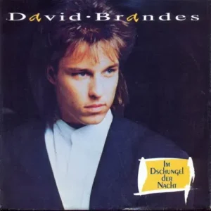 Brandes David - Im Dschungel der Nacht
