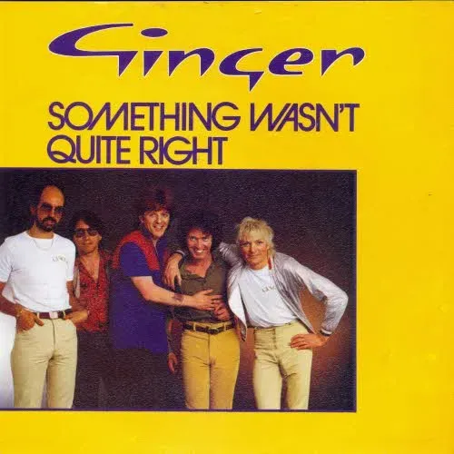 Ginger - Something wasn't quite right (nur Cover)