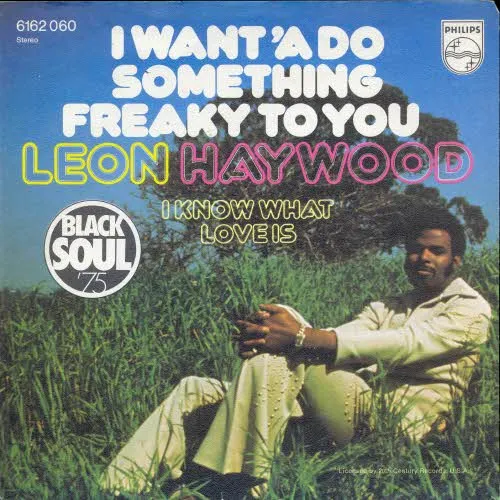 Haywood Leon - I want'a do something freaky to you (nur Cover)