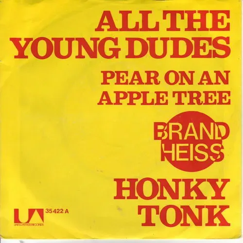 Honky Tonk - All the young dudes  (nur Cover)