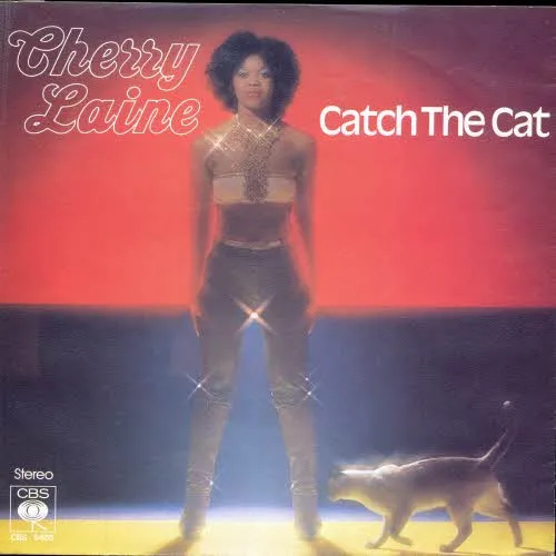 Laine Cherry - Catch the cat (nur Cover)