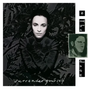 Daou - Surrender yourself (Maxi-Single)