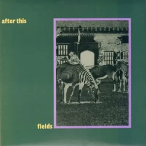 After This - Fields / Hollow hills (Maxi-Single - BENELUX)