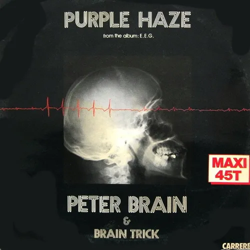 Brain Peter & Brain Trick - Purple haze (Maxi-Single)