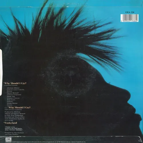 Hendryx Nona - Why should I cry? (Maxi-Single-UK) – Bild 2