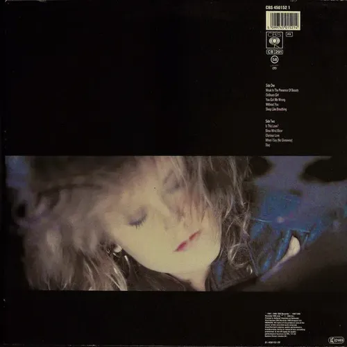 Moyet Alison - Raindancing (LP-NL) – Bild 2