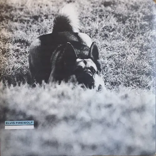 Clayton Lee - Naked child (LP-US) – Bild 3