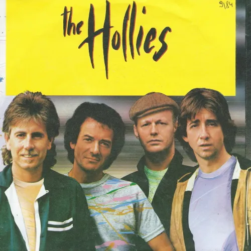 Hollies - I got what I want