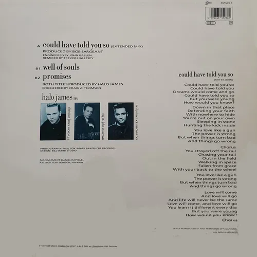 James Halo - Could have told you so (Maxi-Single-NL) – Bild 2