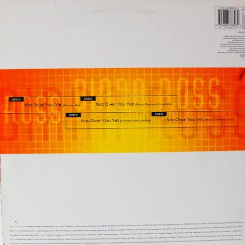 Ross Diana - Not over you yet (Doppel-Maxi-Single-UK) – Bild 2