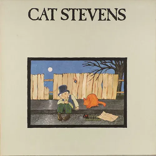 Stevens Cat - Teaser and the firecat (LP)