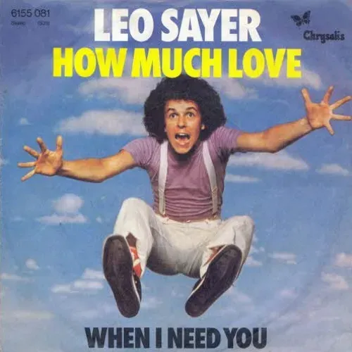 Sayer Leo - How much love (nur Cover)