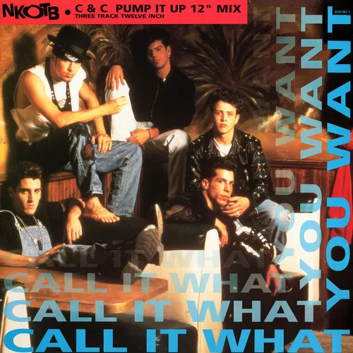 New Kids on The Block (NKOTB) - Call it what you want (Maxi-Single-NL)