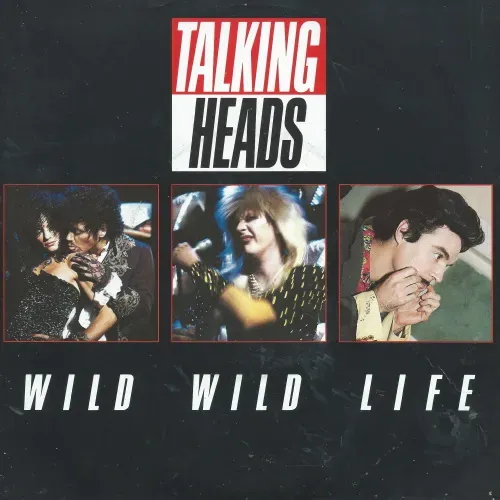 Talking Heads - Wild wild life