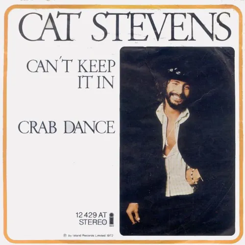 Stevens Cat - Can't keep it in (nur Cover)