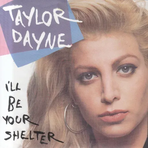 Dayne Taylor - I'll be your shelter (nur Cover)