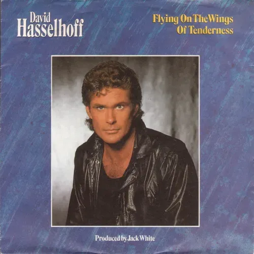 Hasselhoff David - Flying on the wings of Tenderness (nur Cover)